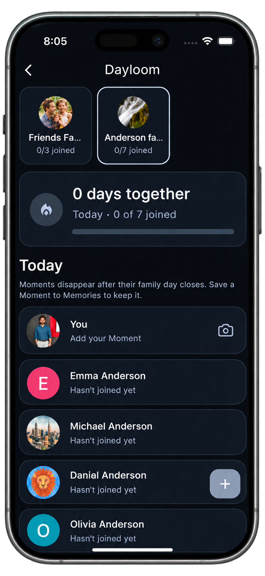 Dayloom screen showing families, Days Together and daily participation